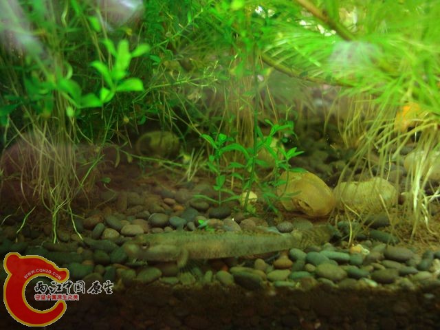 nEO_IMG_DSC03386.jpg