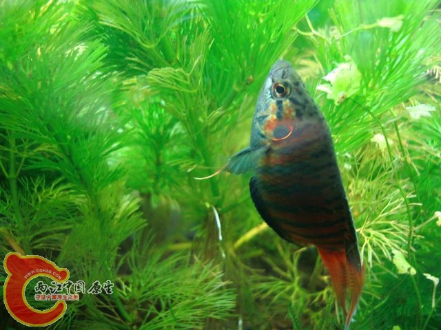 nEO_IMG_DSC03435.jpg