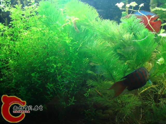 nEO_IMG_DSC03434.jpg