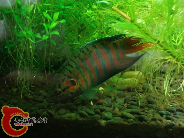 nEO_IMG_DSC03440.jpg