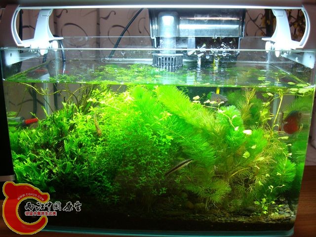 nEO_IMG_DSC03387.jpg