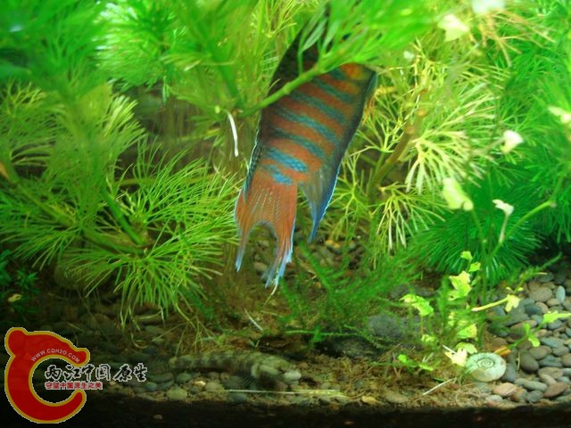 nEO_IMG_DSC03429.jpg