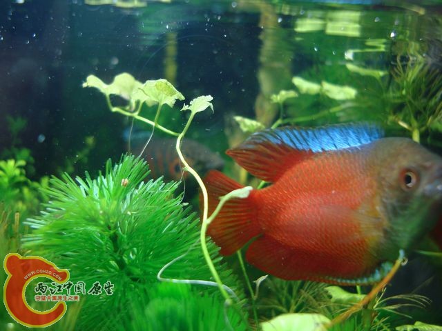 nEO_IMG_DSC03426.jpg
