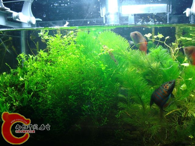 nEO_IMG_DSC03433.jpg