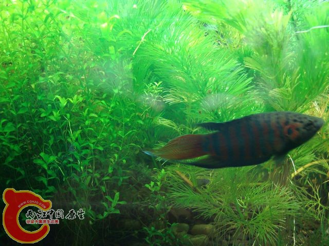nEO_IMG_DSC03422.jpg