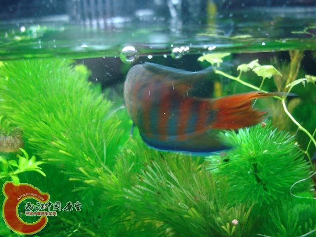 nEO_IMG_DSC03418.jpg