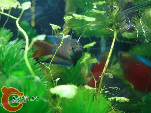 nEO_IMG_DSC03425.jpg