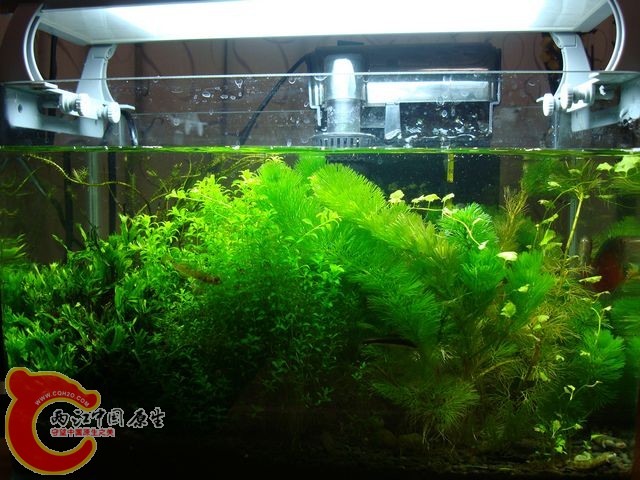 nEO_IMG_DSC03388.jpg