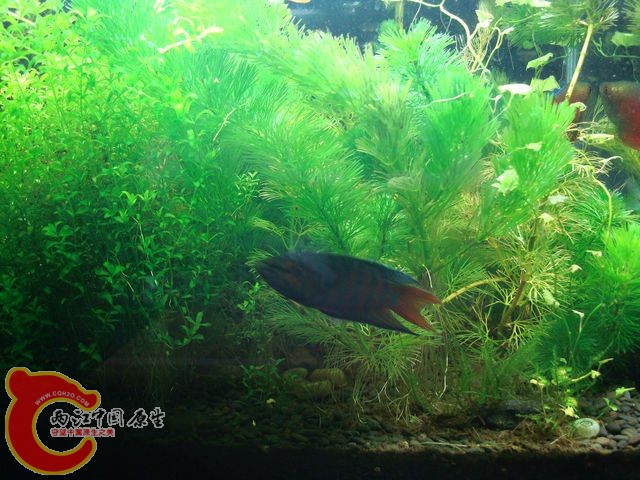 nEO_IMG_DSC03421.jpg