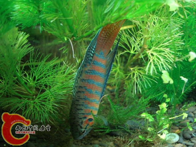 nEO_IMG_DSC03453.jpg