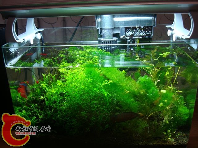 nEO_IMG_DSC03460.jpg