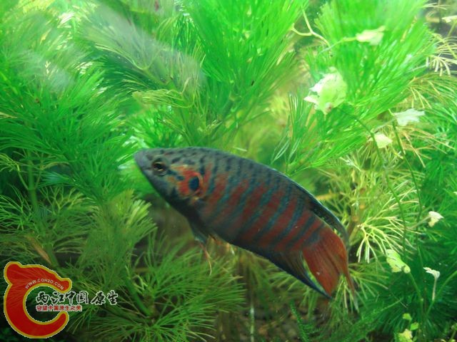 nEO_IMG_DSC03446.jpg