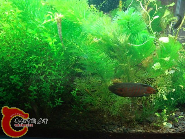 nEO_IMG_DSC03458.jpg