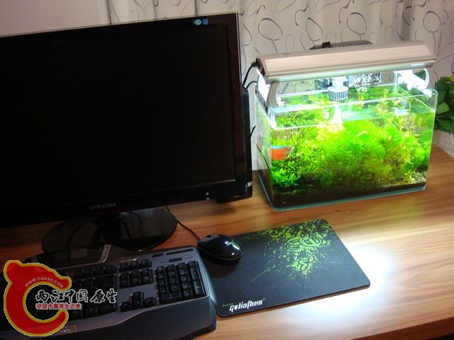 nEO_IMG_DSC03461.jpg