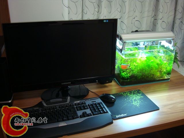 nEO_IMG_DSC03462.jpg