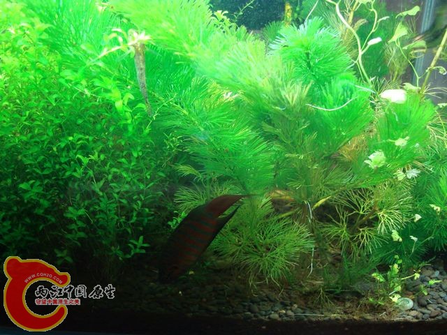 nEO_IMG_DSC03459.jpg