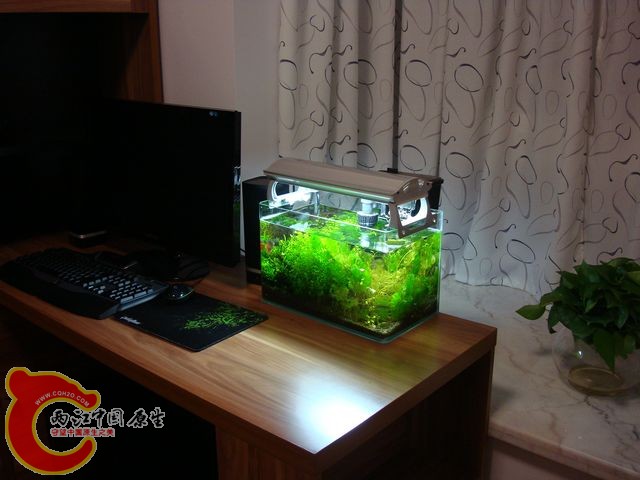 nEO_IMG_DSC03463.jpg
