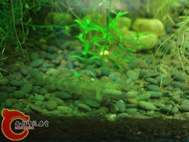 nEO_IMG_DSC03450.jpg