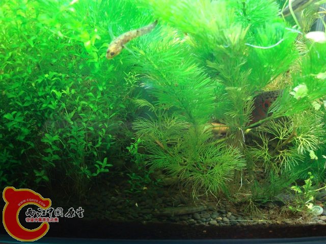 nEO_IMG_DSC03457.jpg