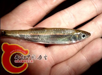 未命名13.jpg