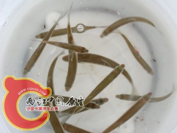 未命名12.jpg