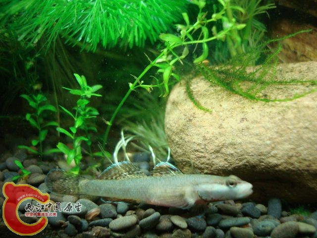 nEO_IMG_DSC03493.jpg