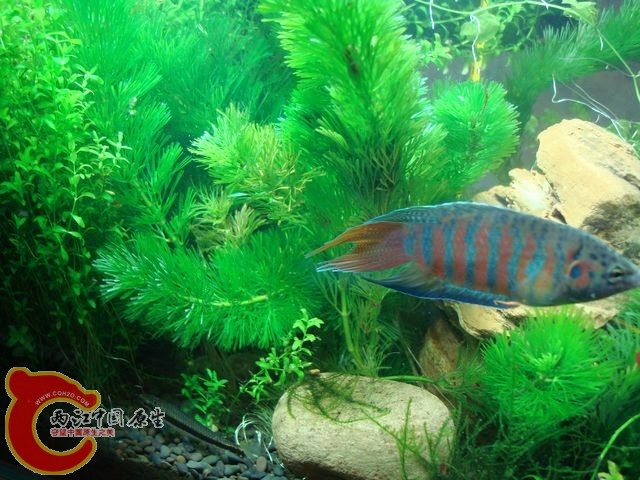 nEO_IMG_DSC03499.jpg