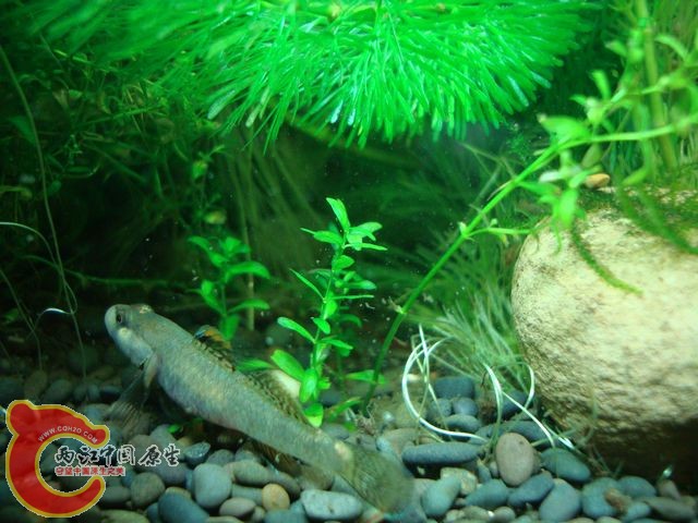 nEO_IMG_DSC03491.jpg
