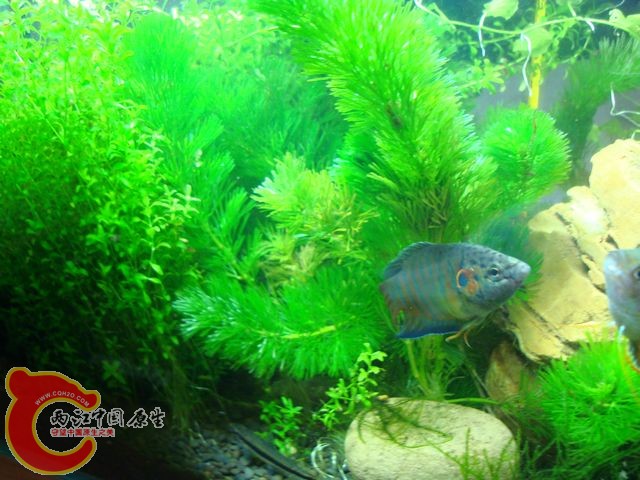 nEO_IMG_DSC03498.jpg