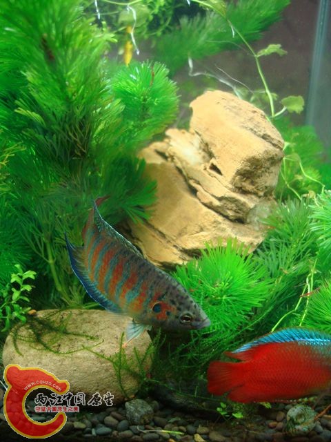 nEO_IMG_DSC03496.jpg