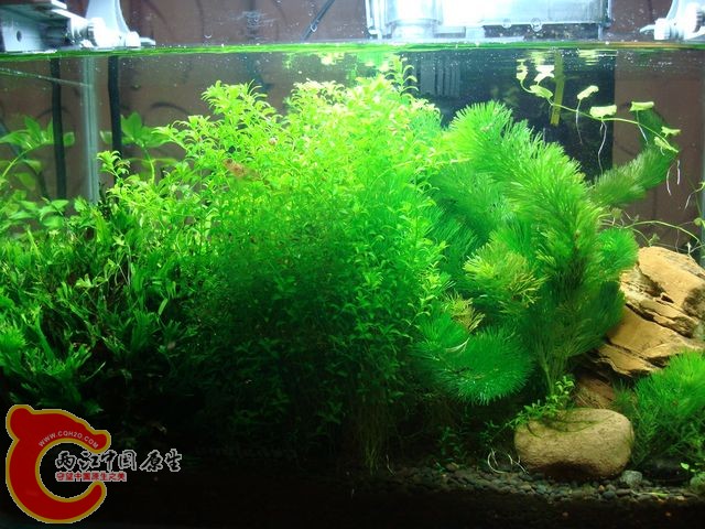 nEO_IMG_DSC03513.jpg