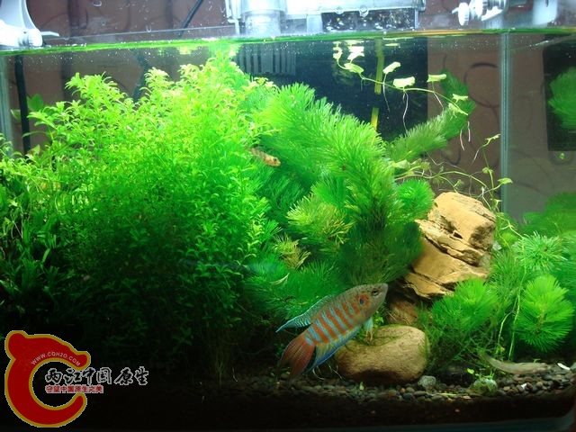 nEO_IMG_DSC03518.jpg