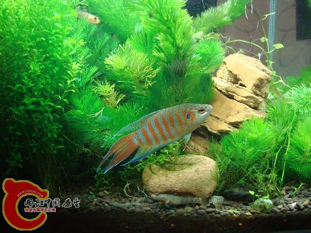 nEO_IMG_DSC03523.jpg