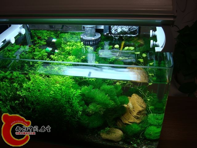 nEO_IMG_DSC03516.jpg