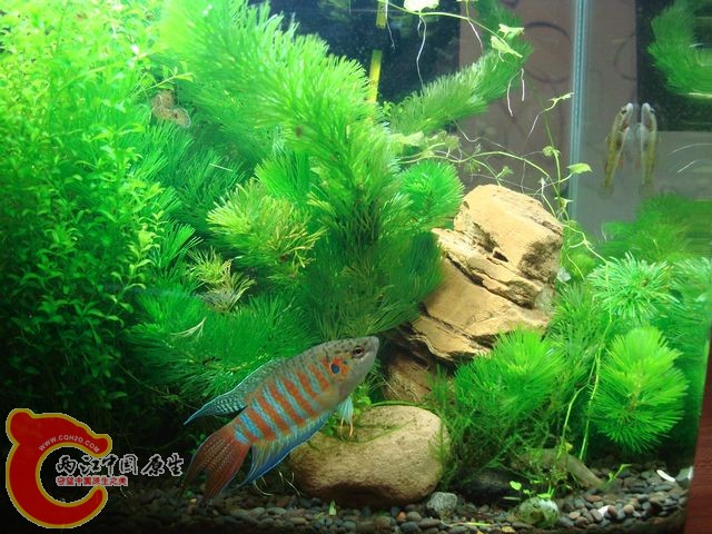 nEO_IMG_DSC03521.jpg