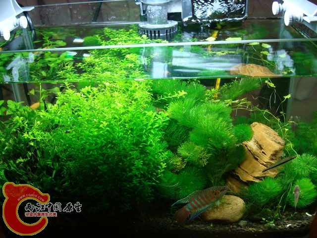 nEO_IMG_DSC03520.jpg
