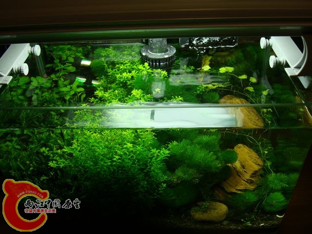 nEO_IMG_DSC03515.jpg