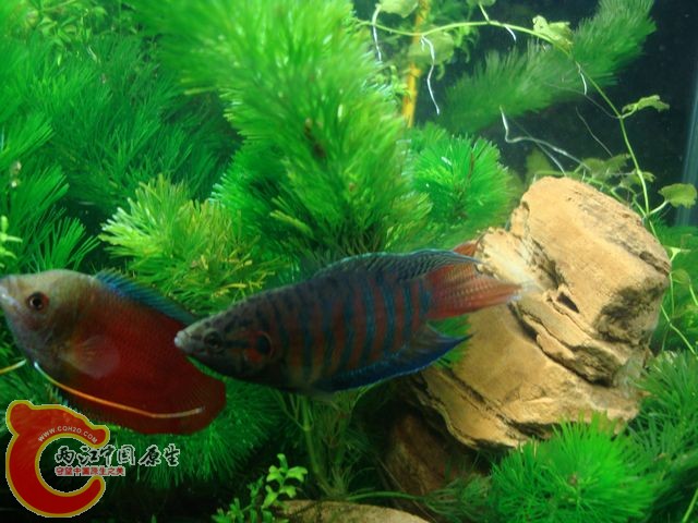 nEO_IMG_DSC03501.jpg