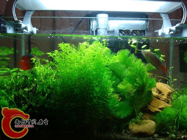 nEO_IMG_DSC03525.jpg