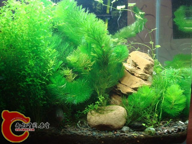 nEO_IMG_DSC03512.jpg