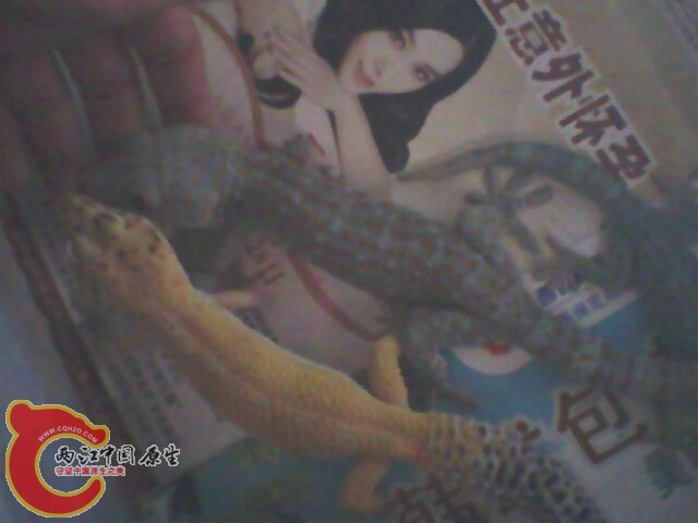 IMG0204A.jpg
