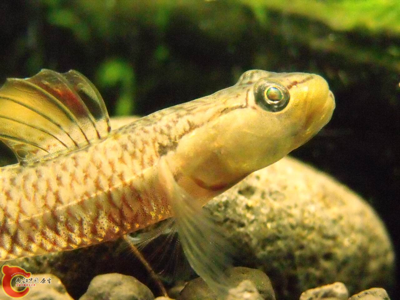 我的拍照技术好像有点进步了