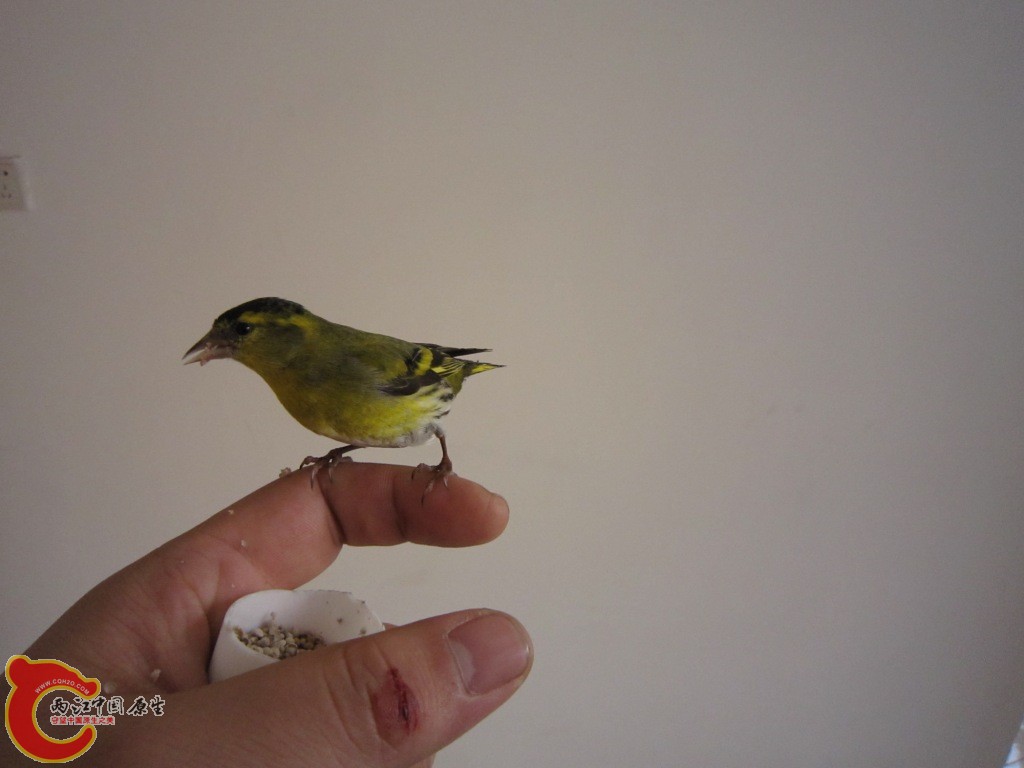 IMG_3651.JPG