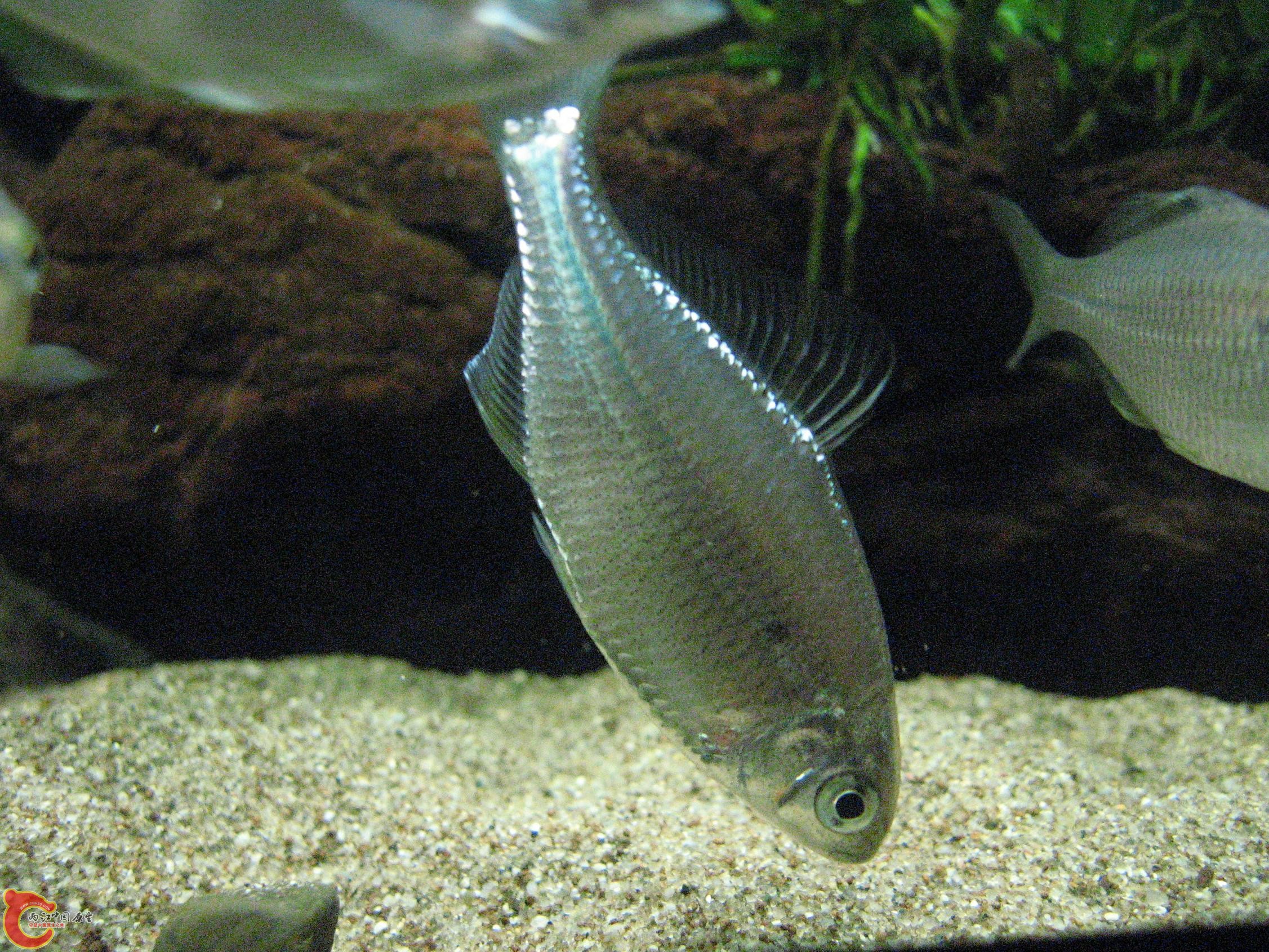 IMG_3425.jpg