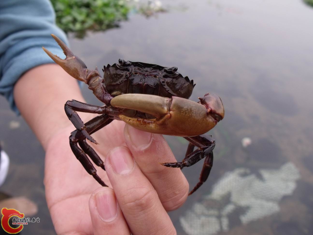 照片2011.01.24 038.jpg