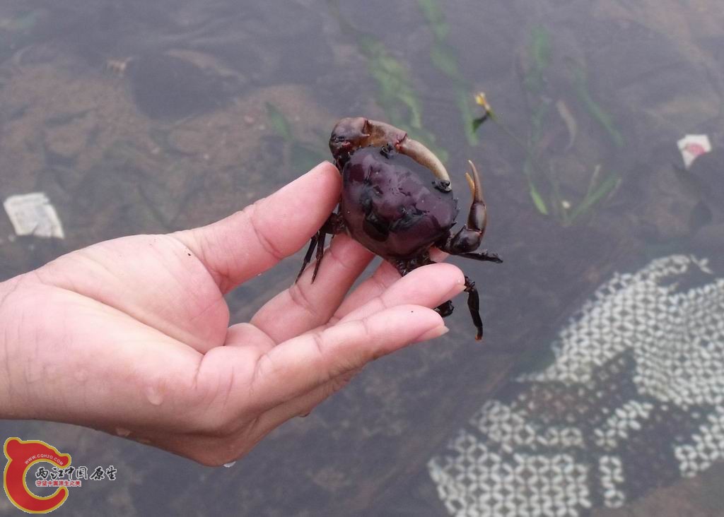 照片2011.01.24 039.jpg