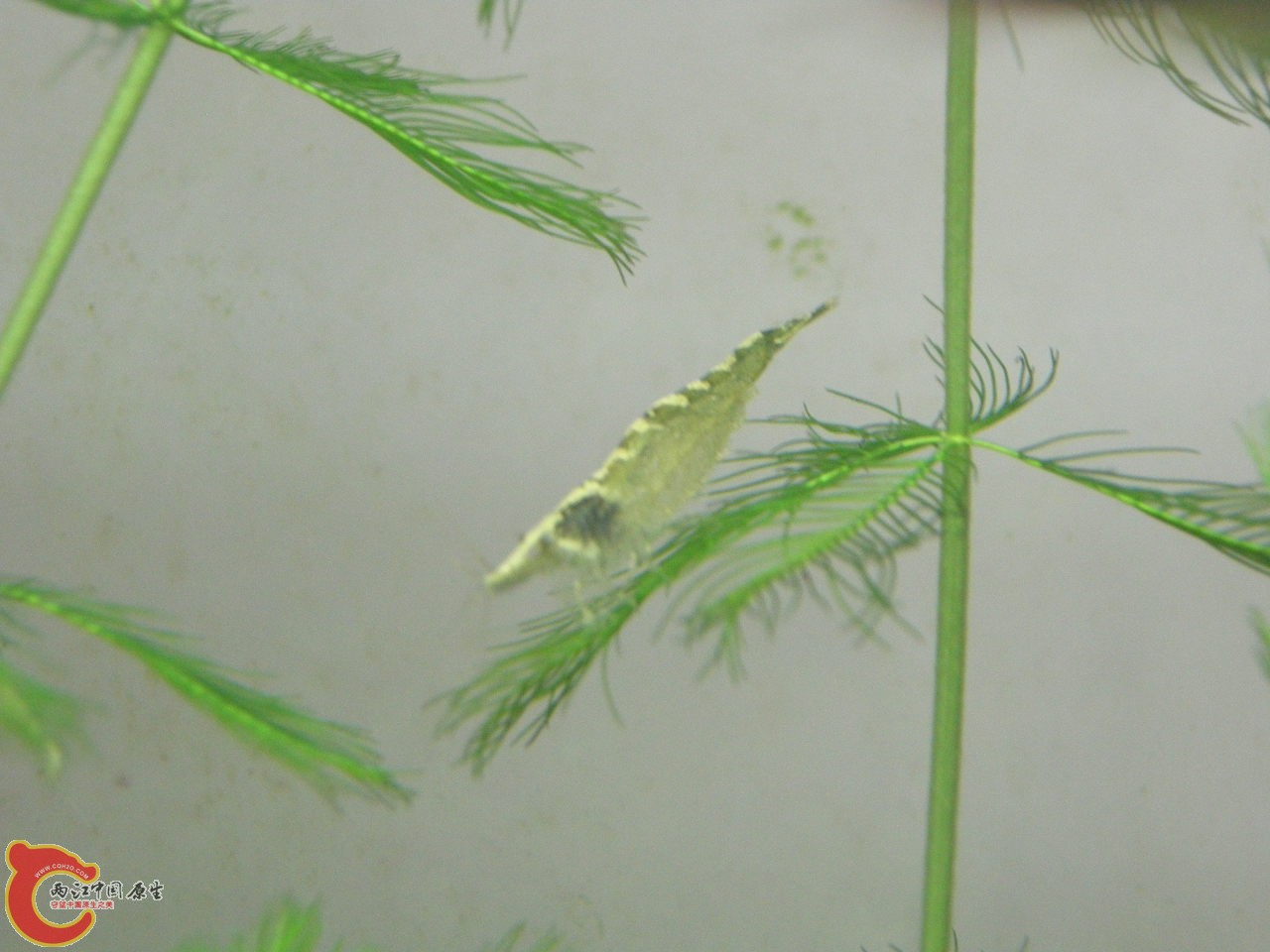 DSCN5740.JPG