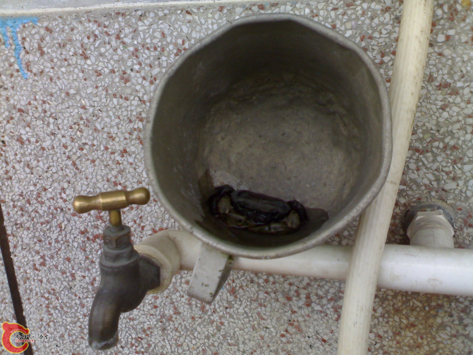 20110126712.jpg