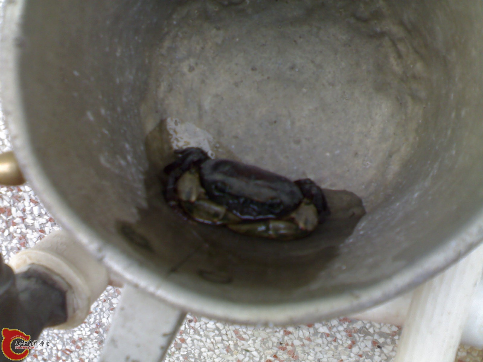 20110126713.jpg