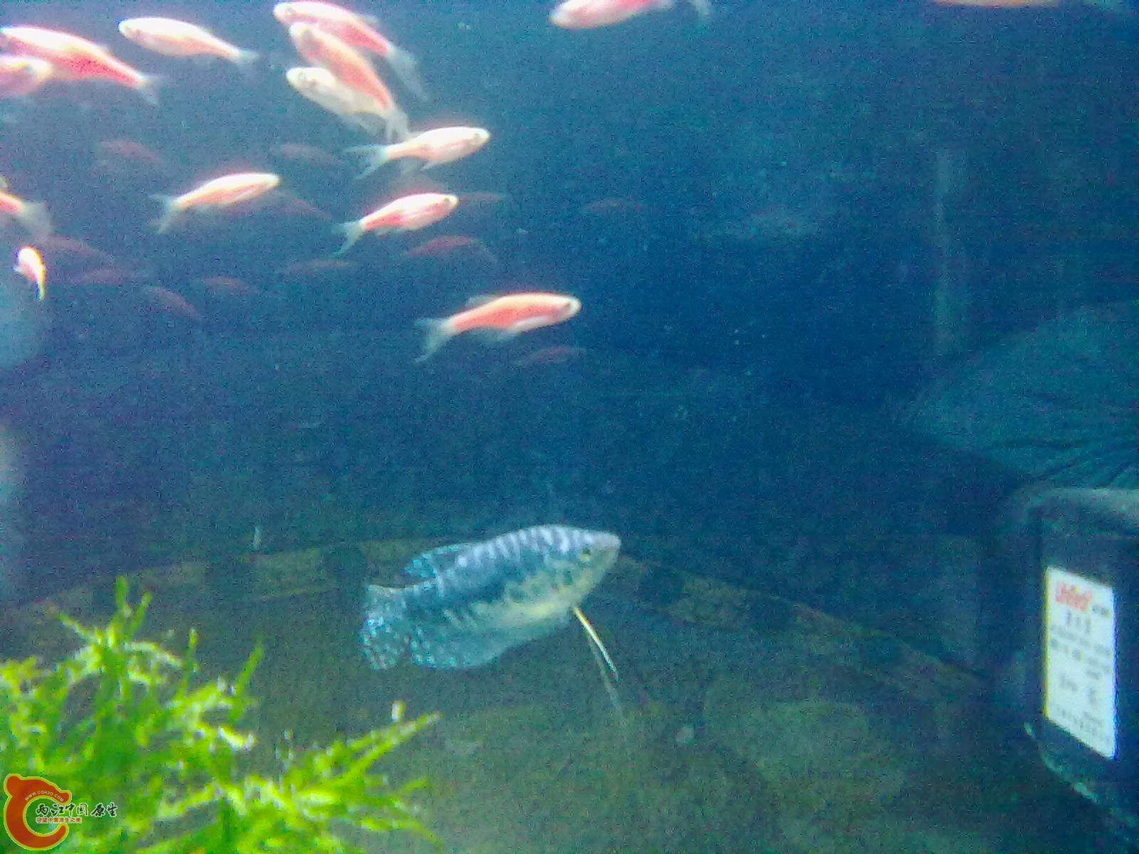 20110127075.jpg